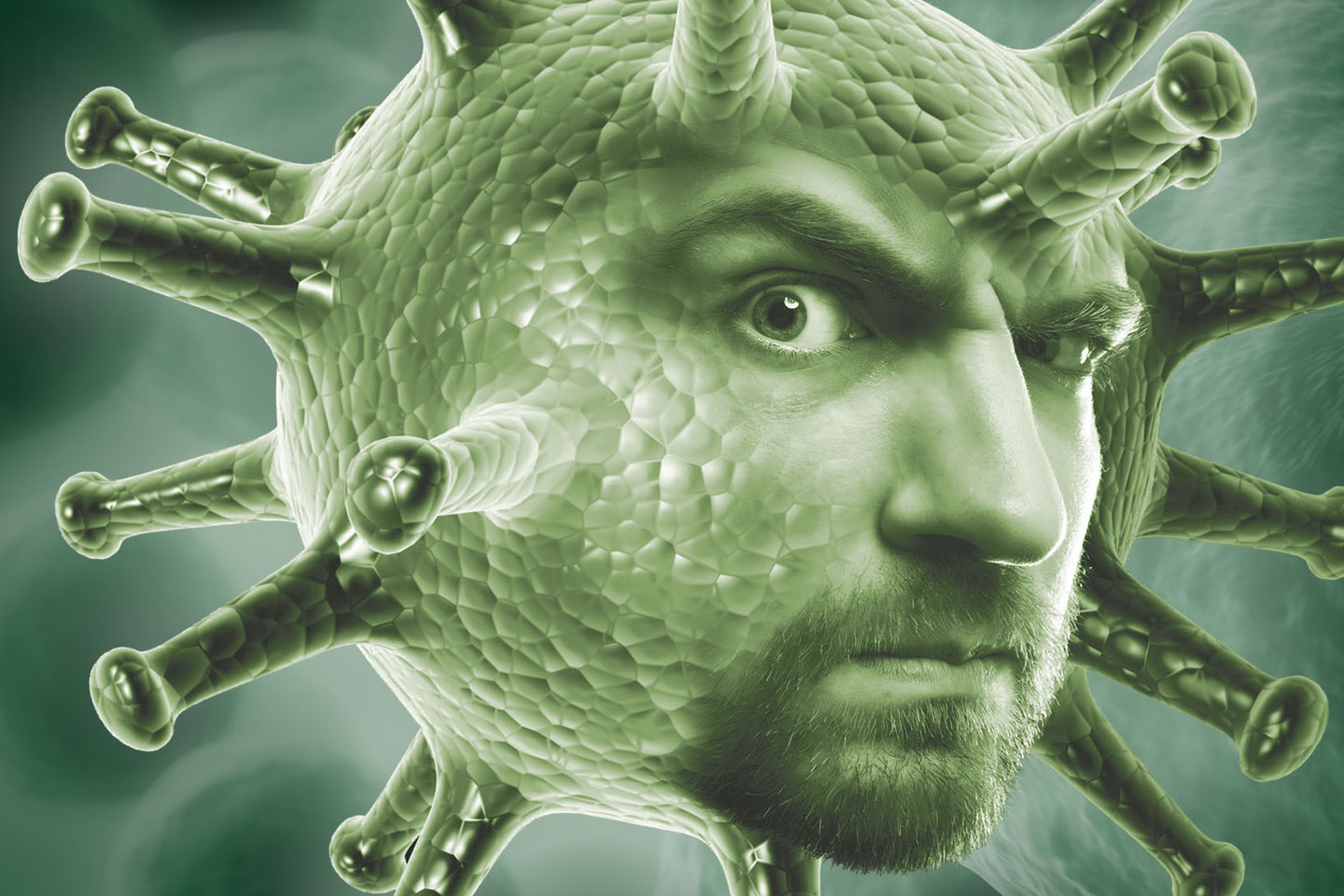 Feature Image
